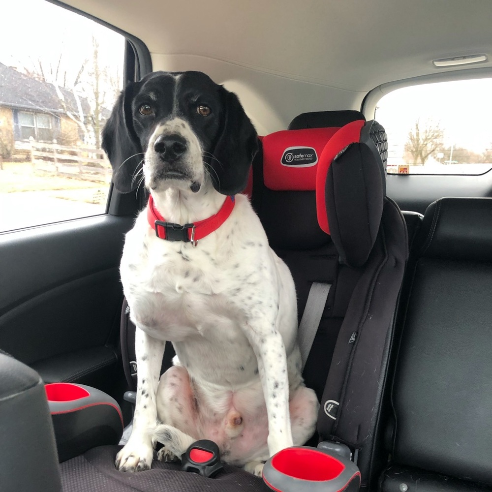 Meet your Posher, Caitlin